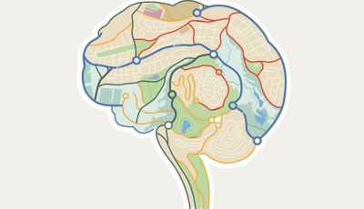 Neuronavegação: GPS craniano. Como funciona?